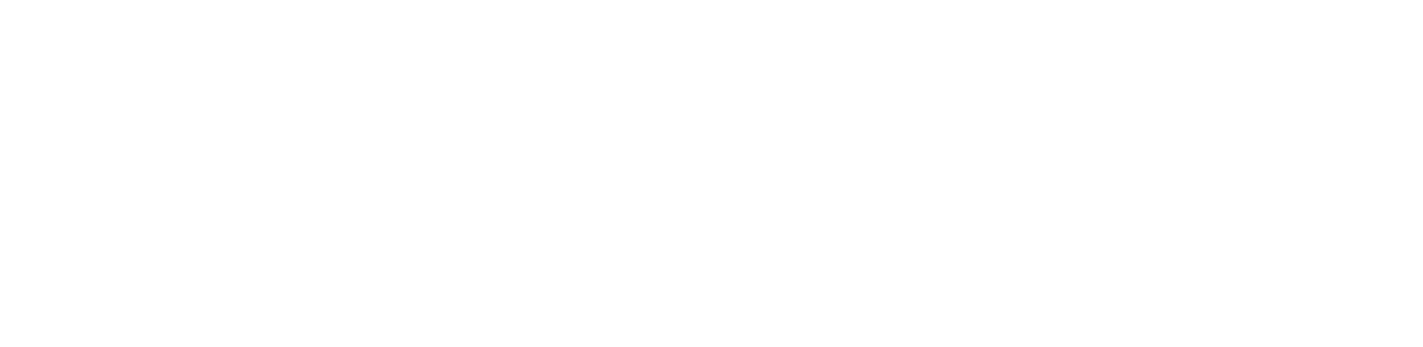 Momentum Store